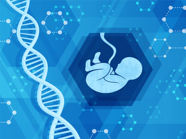 DNA, fetus illustration