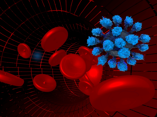 Red blood cells and coronavirus
